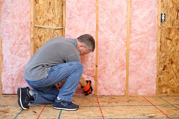 Eco-Friendly or Green Insulation Solutions in Hoover, AL